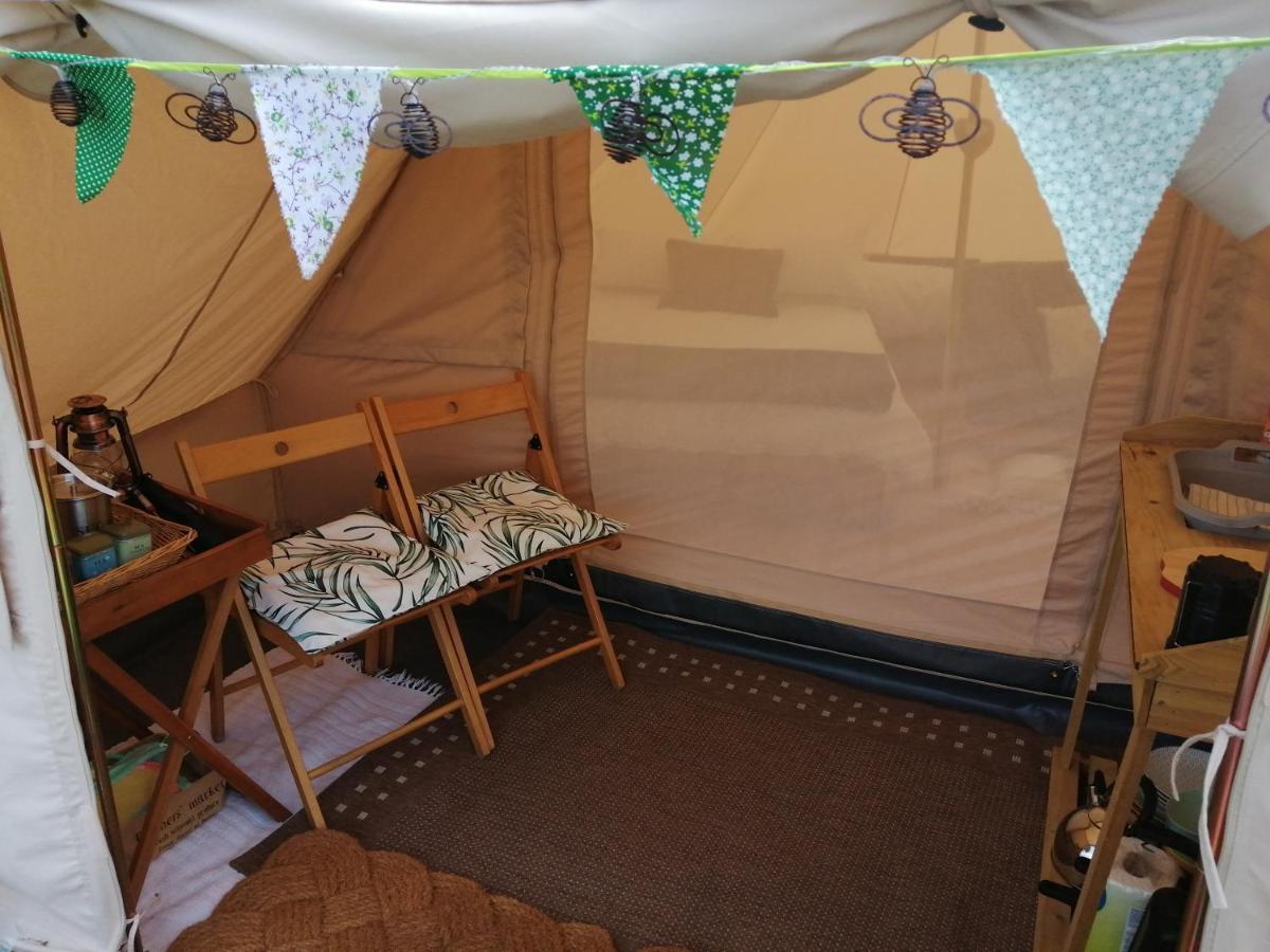 Coed Y Brenin Retreat - Bell Tent Glamping Near Aberaeron Ciliau Aeron Екстер'єр фото