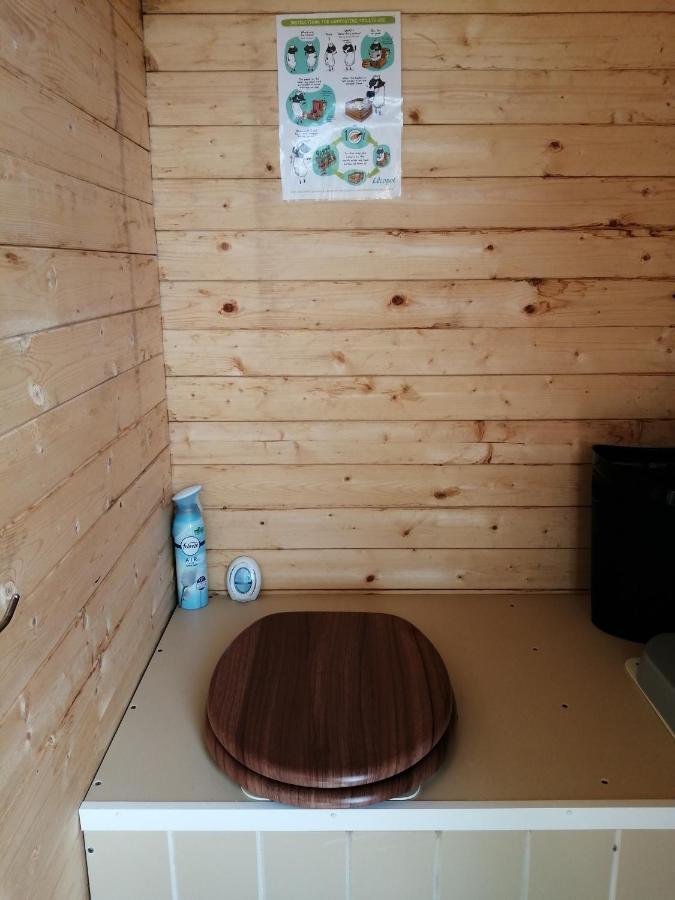 Coed Y Brenin Retreat - Bell Tent Glamping Near Aberaeron Ciliau Aeron Екстер'єр фото